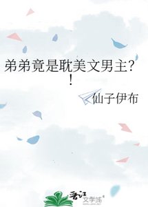 弟弟竟是耽美文男主?!